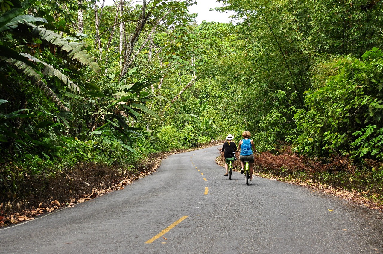 Two cyclists riding through jungle trail in Panama